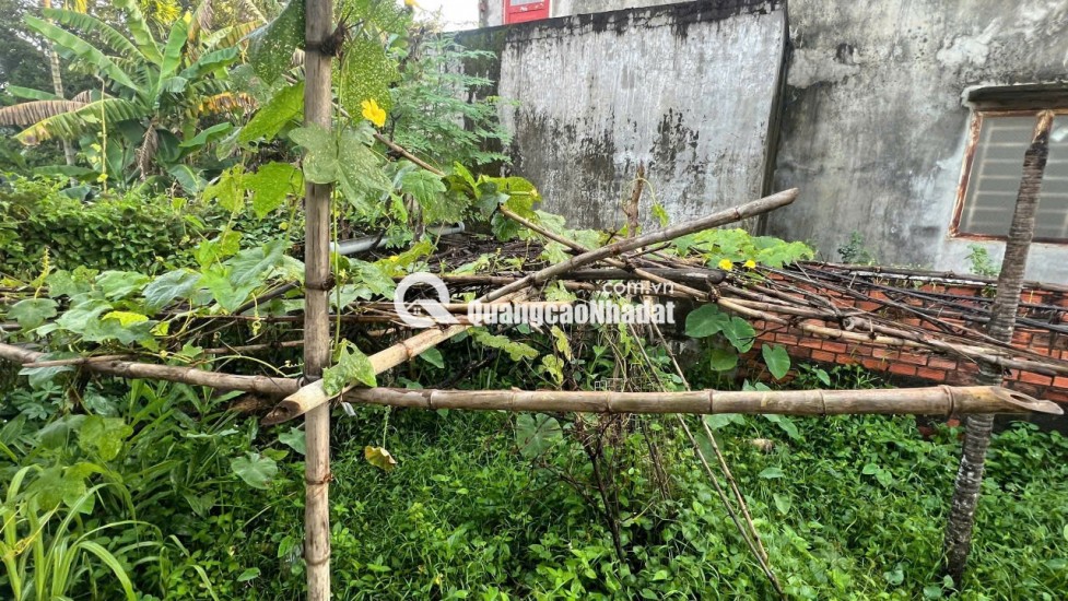 LÔ ĐẤT TIỀM NĂNG TẠI BÌNH NHÂM THUẬN AN. 10X15 SẴN SỔ, CHỈ 4.3TỶ. LH:0399058768