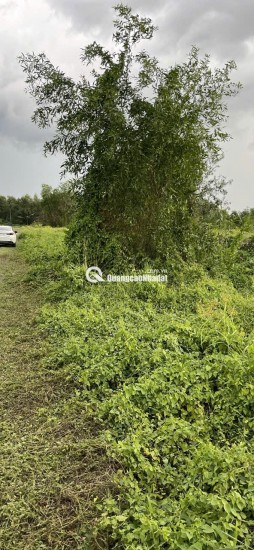 KẸT  TIỀN CẦN BÁN LÔ ĐẤT 2 MẶT TIỀN :DT 8M X 86= 688M2 CHỈ 1.6 TỶ. LH:0903198949.