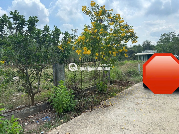 Chính chủ bán gấp đất 920m2 tại chợ Định Hiệp