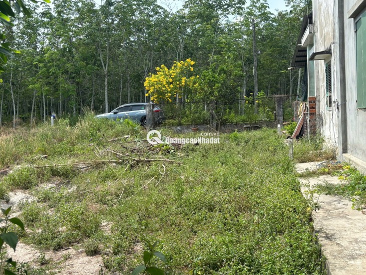 Chính chủ bán gấp đất 920m2 tại chợ Định Hiệp