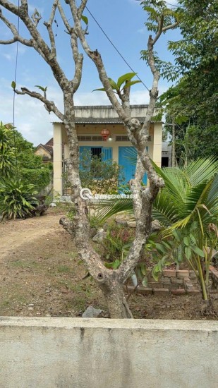 CHÍNH CHỦ BÁN GẤP ĐẤT NỀN , GIÁ TỐT TẠI XÃ DIÊN THỌ , DIÊN KHÁNH, KHÁNH HÒA