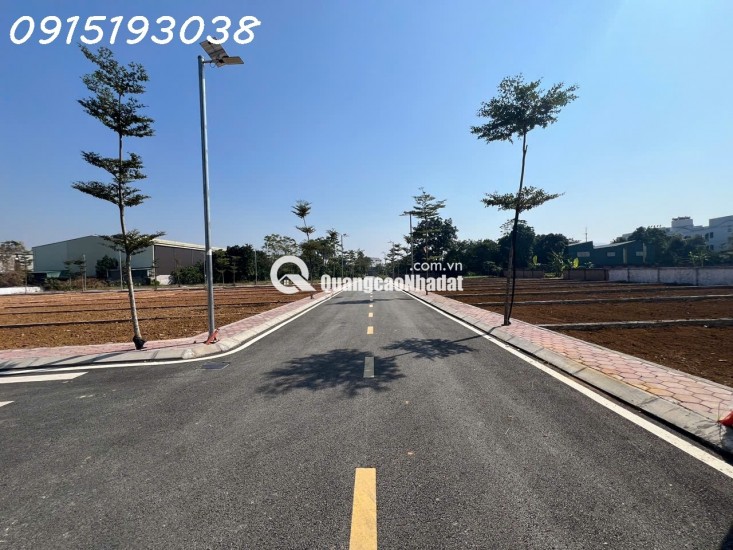 TÔI CHÍNH CHỦ CẦN TIỀN BÁN CẮT LỖ LÔ ĐẤT VÀNG Ở PHÚ CÁT - SÁT VÁCH TỈNH LỘ 446 - QUỐC LỘ 21