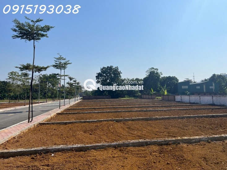 TÔI CHÍNH CHỦ CẦN TIỀN BÁN CẮT LỖ LÔ ĐẤT VÀNG Ở PHÚ CÁT - SÁT VÁCH TỈNH LỘ 446 - QUỐC LỘ 21
