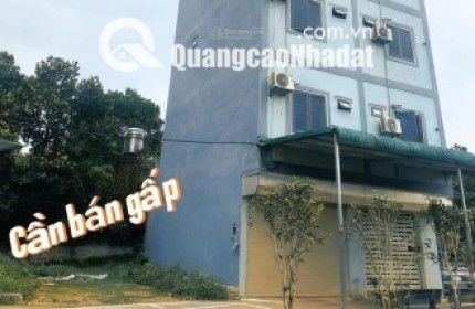 Bán đất chính chủ tại Xã Cổ Đông, Sơn Tây, Hà Nội, 30 triệu/m2, S= 100 m2 full thổ cư