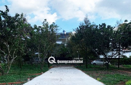 20M MẶT TIỀN ĐƯỜNG NHỰA – GẦN KCN LONG KHÁNH, ĐN, GIÁ CHỈ 980Tr/SỔ