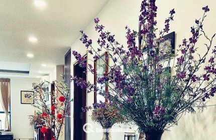 Bán căn hộ 87m tại X2 Đại Kim Hoàng Mai Hà Nội