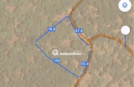 BÁN VƯỜN MÍT TẠI ĐỒNG NAI MỚI DT 5.891M2 SHR CHỈ 50TR/1000M2. LH:0869560747