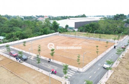 TÔI CHÍNH CHỦ CẦN TIỀN BÁN CẮT LỖ LÔ ĐẤT VÀNG Ở PHÚ CÁT - SÁT VÁCH TỈNH LỘ 446 - QUỐC LỘ 21