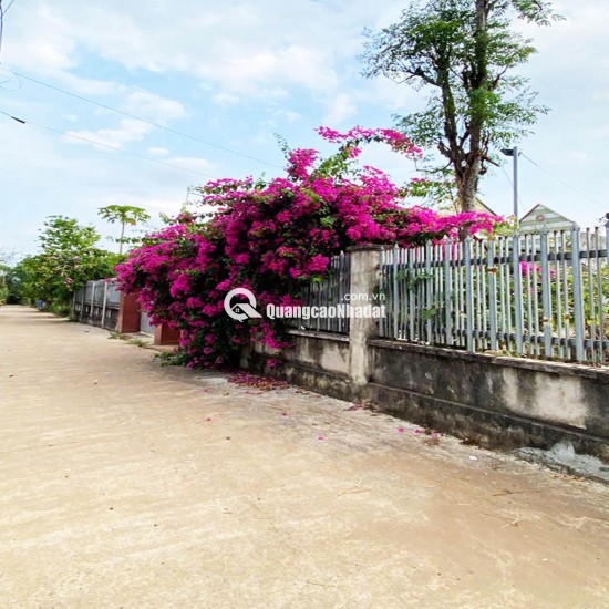 ĐẤT NỀN THỌ TÂN – P XUÂN LỘC – ĐN. GIÁ CHỈ 490Tr. 100% OĐT