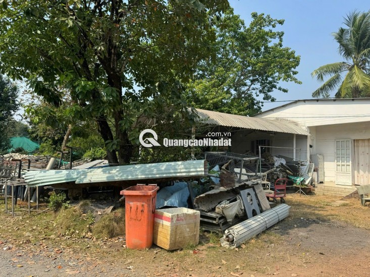 BÁN ĐẤT LONG BÌNH, QUẬN 9 - DT 1000M2 - SHR - 38.5 TỶ. LH:0907511230 - 0908334579.