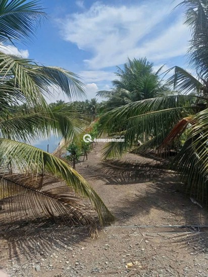 BÁN ĐẤT XÃ BÌNH LỢI - BÌNH CHÁNH, 10.387M2 SẴN 2 SỔ HỒNG CHỈ 2 TỶ/1000M2. LH:0978435476.