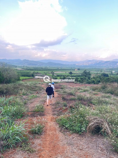 CHÍNH CHỦ CẦN BÁN NHÀ + DÃY TRỌ ĐANG CHO THUÊ