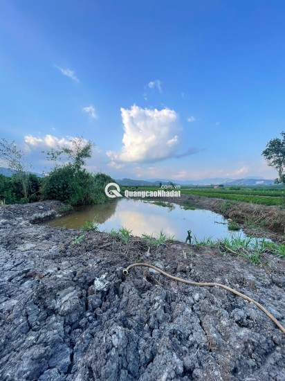 CHÍNH CHỦ CẦN BÁN NHÀ + DÃY TRỌ ĐANG CHO THUÊ