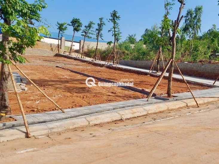  ĐẤT GIÁP VIN HẠ LONG XANH GIÁ 35TR/M² – CÒN RẺ HƠN NHIỀU SO VỚI GIÁ TRỊ THỰC?