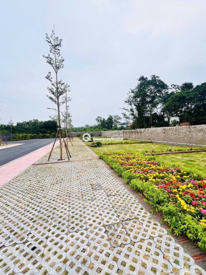 ĐÓN SÓNG DAI ĐOẠN ĐẦU - MĂT BIỂN - HẢI HẨU NAM ĐỊNH - SAU KHI SÁT NHẬP 3 TỈNH - THÀNH NINH CƠ - NINH BINH
