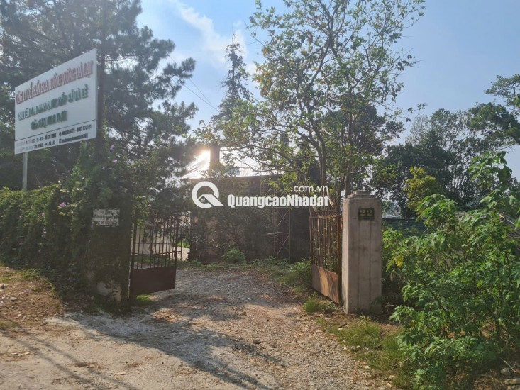 BIỆT THỰ PHÁP CỔ TTTP ĐÀ LẠT 1800M2 PHÁP LÝ RÕ RÀNG 75 TỶ. LH:0909267003.
