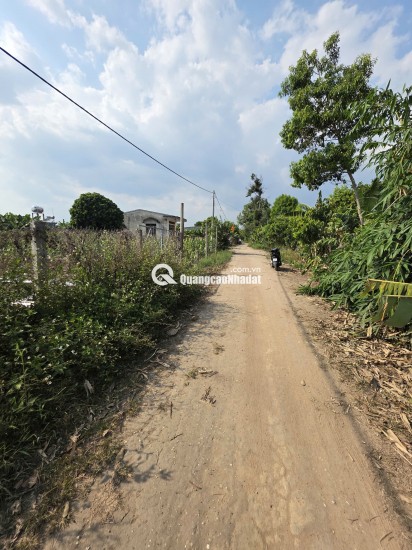Đất vàng Kon Tum