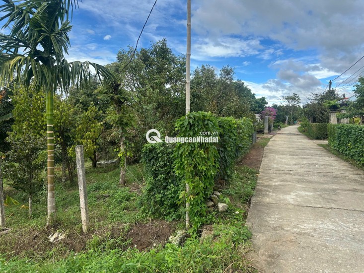 HOT HOT  Đất vàng Đăk Hà, Kon Tum view triệu đô cho nhà đầu tư chốt lời nhanh!
