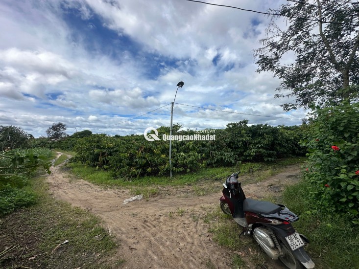 Đất thổ cư vị trí vàng ,Giá cực mềm