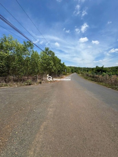 BÁN ĐẤT LÀM NHÀ VƯỜN