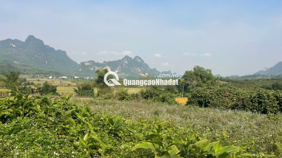 Đất Cao Phong Giá SỐC Chỉ Dưới 1 Triệu/m² Sở Hữu 6000m² View Cánh Đồng cách QL6 chưa đến 1km