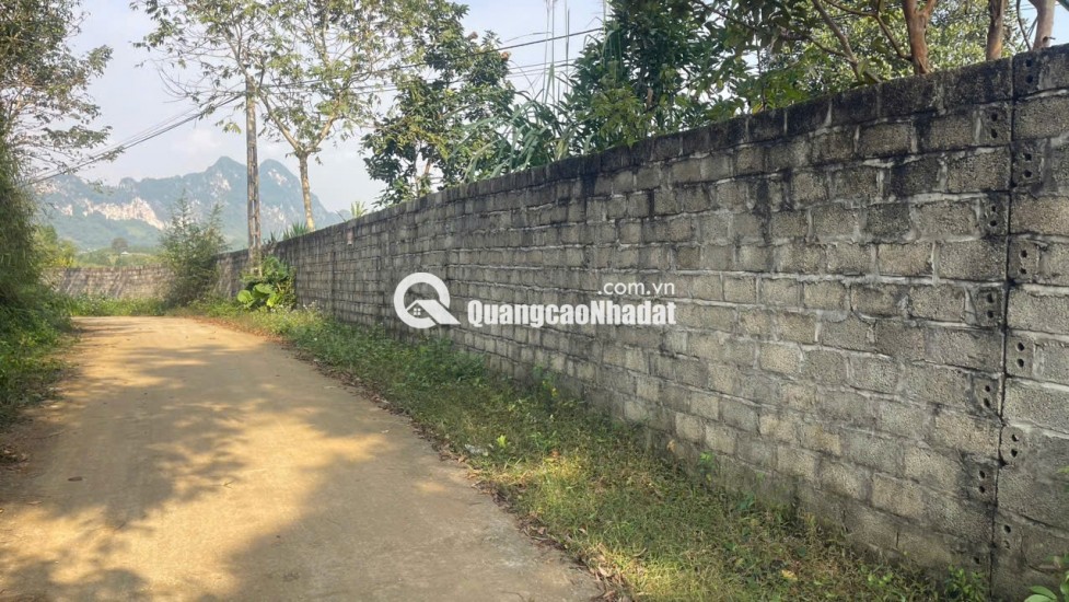 Đất Cao Phong Giá SỐC Chỉ Dưới 1 Triệu/m² Sở Hữu 6000m² View Cánh Đồng cách QL6 chưa đến 1km