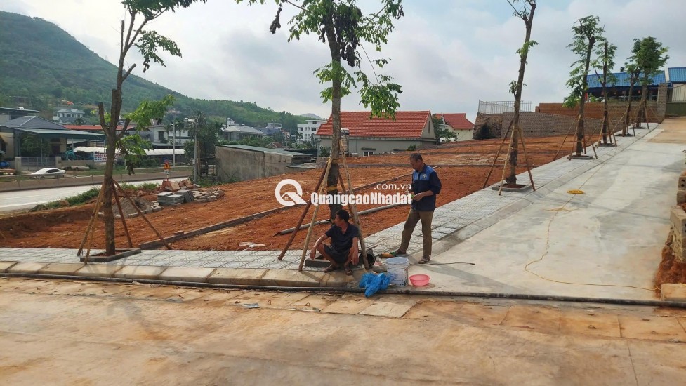  ĐẤT ĐẠI YÊN NẰM SÁT QL18 BỪNG SÁNG CÙNG DỰ ÁN TỶ ĐÔ VIN HẠ LONG XANH GIÁ CHỈ BẰNG 1/3
