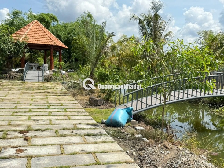 ► CHÍNH CHỦ CẦN BÁN GẤP RẪY ĐẸP MIẾU CÔ – ĐỨC LẬP, LÂM ĐỒNG