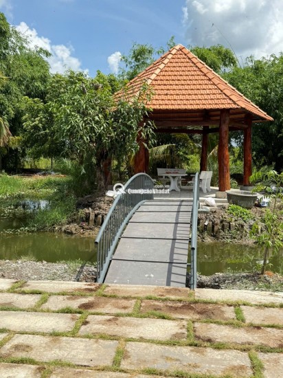 ► CHÍNH CHỦ CẦN BÁN GẤP RẪY ĐẸP MIẾU CÔ – ĐỨC LẬP, LÂM ĐỒNG