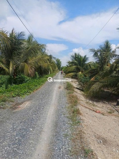 BÁN ĐẤT XÃ BÌNH LỢI - BÌNH CHÁNH, 10.387M2 SẴN 2 SỔ HỒNG CHỈ 2 TỶ/1000M2. LH:0978435476.