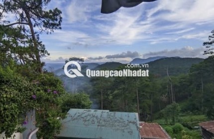 Bán biệt thự