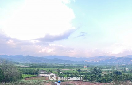 CHÍNH CHỦ CẦN BÁN NHÀ + DÃY TRỌ ĐANG CHO THUÊ