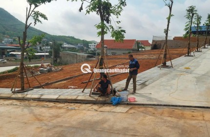  ĐẤT GIÁP VIN HẠ LONG XANH GIÁ 35TR/M² – CÒN RẺ HƠN NHIỀU SO VỚI GIÁ TRỊ THỰC?