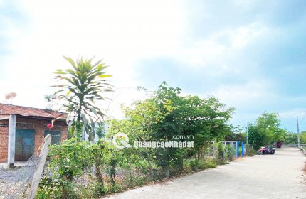 ĐẤT NỀN THỌ TÂN – P XUÂN LỘC – ĐN. GIÁ CHỈ 490Tr. 100% OĐT