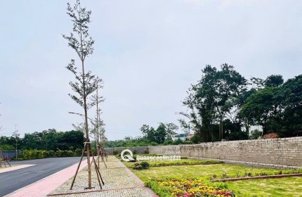 ĐÓN SÓNG DAI ĐOẠN ĐẦU - MĂT BIỂN - HẢI HẨU NAM ĐỊNH - SAU KHI SÁT NHẬP 3 TỈNH - THÀNH NINH CƠ - NINH BINH