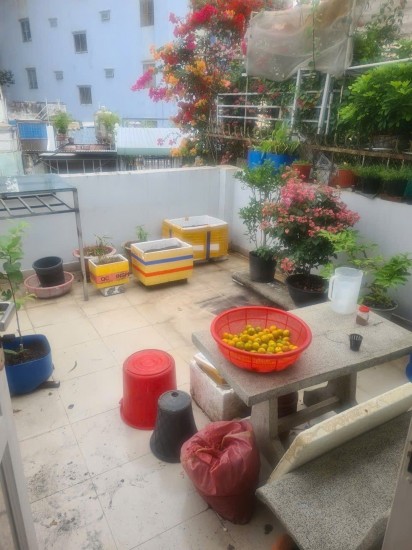 Hẻm xe hơi Trần Phú - 42m2 sổ vuông đẹp - chỉ 8tỷ500tr