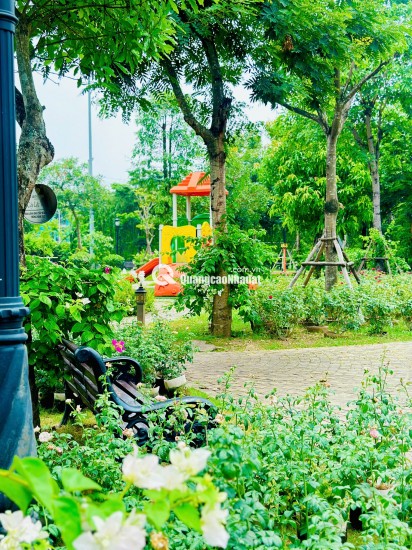 2 LIỀN KỀ CEOHOMES HANA GARDEN – KHÔNG GIAN SỐNG ĐA NĂNG, KHAI THÁC LINH HOẠT