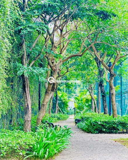 3 LIỀN KỀ CEOHOMES HANA GARDEN – KHÔNG GIAN SỐNG ĐA NĂNG, KHAI THÁC LINH HOẠT