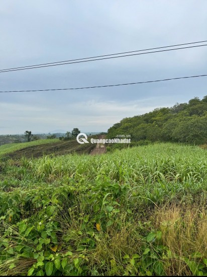 BÁN 35.000M² ĐẤT RẪY MẶT TIỀN ĐƯỜNG NHỰA – EA SÔ, EA KAR, ĐẮK LẮK