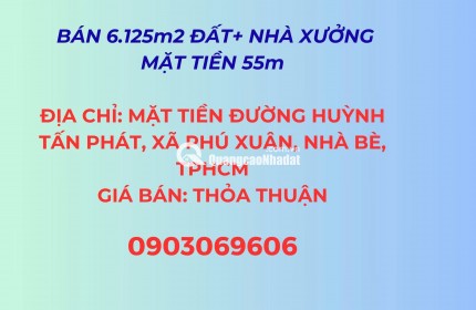 Bán 6.125m² đất + Nhà xưởng, mặt tiền đường Huỳnh Tấn Phát, Xã Phú Xuân Nhà Bè, Tp.HCM