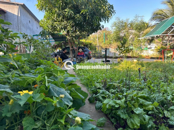 BÁN TRƯỜNG MẦN NON THÔN GÒ SẠN, XÃ BẮC PHONG, HUYỆN THUẬN BẮC. LH:0906000199.