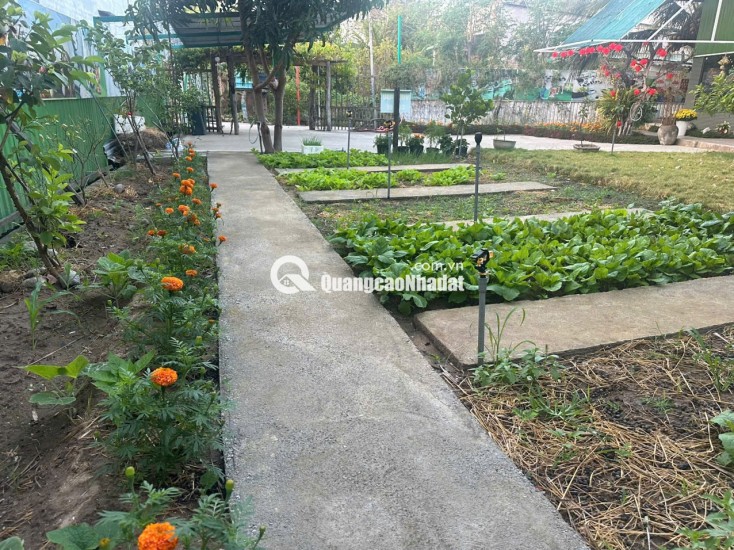 BÁN TRƯỜNG MẦN NON THÔN GÒ SẠN, XÃ BẮC PHONG, HUYỆN THUẬN BẮC. LH:0906000199.