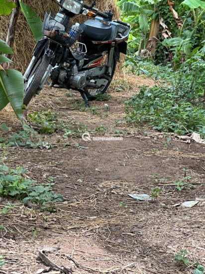 BÁN ĐẤT 3 CÔNG ĐẤT XÃ MỸ HOÀ HƯNG, TP LONG XUYÊN SHR CHỈ 750 TRIỆU. LH:0977226448
