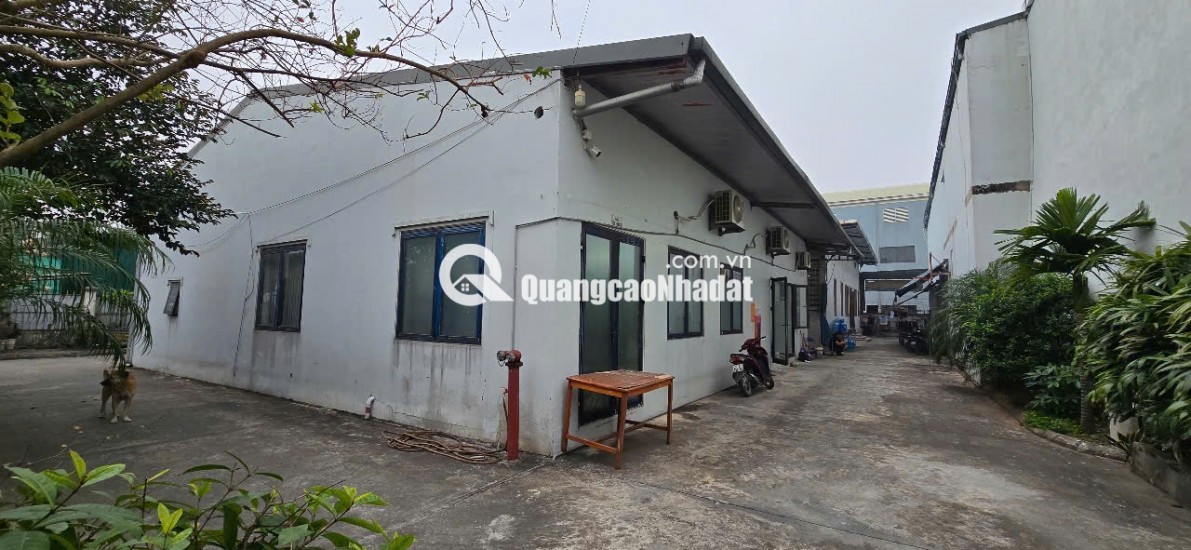 SANG NHƯỢNG LÔ ĐẤT KHU CÔNG NGHIỆP NINH HIỆP – PHÙ ĐỔNG, GIA LÂM HÀ NỘI  TẶNG TRỌN VILLA + NHÀ XƯỞNG