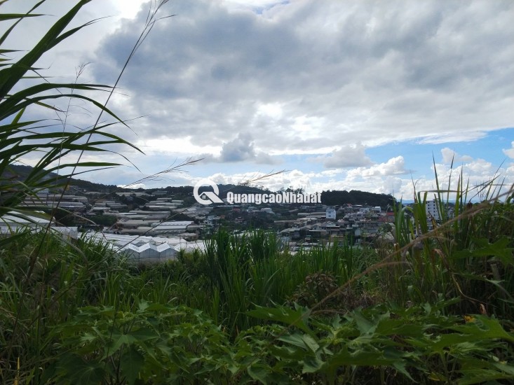 ĐẤT ĐẸP TÔ HIỆU – ĐÀ LẠT  VIEW THOÁNG – ĐƯỜNG Ô TÔ TẬN NƠI