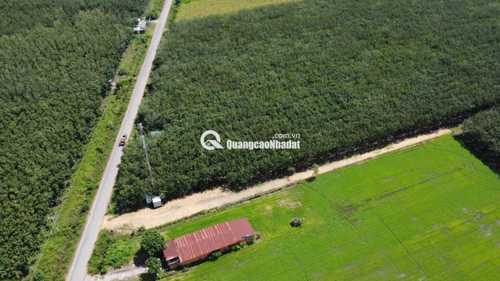 ĐẤT BẾN CẦU TÂY NINH 11.282M2 CHỈ 3TY5, VỊ TRÍ ĐẸP, SỔ TRAO TAY. CHÍNH CHỦ 0988882003.