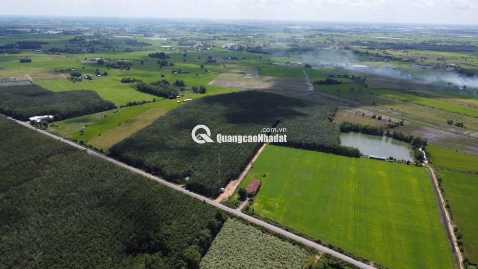ĐẤT BẾN CẦU TÂY NINH 11.282M2 CHỈ 3TY5, VỊ TRÍ ĐẸP, SỔ TRAO TAY. CHÍNH CHỦ 0988882003.