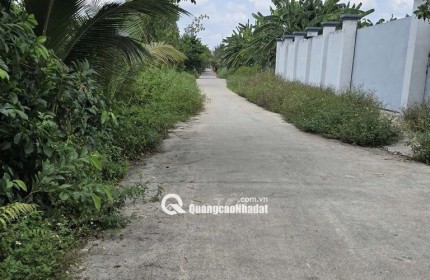 CHÍNH CHỦ BÁN GẤP ĐẤT THỔ CƯ BÌNH CHÁNH – 350M² – GIÁ 5,7 TỶ
