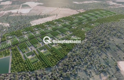 CẦN BÁN 40 HA ĐẤT QUY HOẠCH ĐẤT Ở NÔNG THÔN – VEN HỒ DẦU TIẾNG