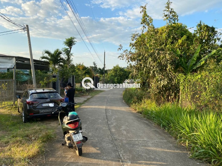 BÁN ĐẤT VƯỜN 1.003M TÀ LÀI, ĐỒNG NAI  CHỈ 750 TRIỆU